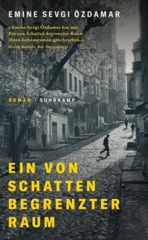 Eın Von Schatten Begrenzter Raum'ın resmi