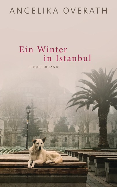 Eın Wınter In Istanbul'ın resmi