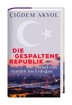 Dıe Gespaltene Republık'ın resmi